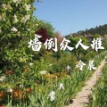 冷晨 - 墙倒众人推