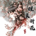 九决、妍霏 - 醒来折花