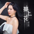 倪尔萍 - 蔓上花
