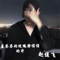 赵俊飞 - 羞答答的玫瑰静悄悄地开 (DJ版)