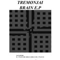 Tremonjai - Brain (Original Mix)