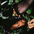 am. - WET