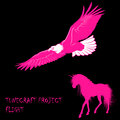 Tunecraft Project - Flight (Original Mix)