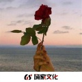 崔老板 - 超好听旋律版