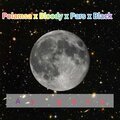 Polamsa、Black - Kül Tabağım