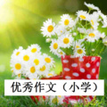 梦语阁-二乔妈妈 - 我品尝到了成功的滋味