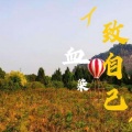 血染 - 致自己