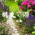 血染 - 朋友圈