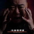 博蒂组合 - 难忘草原