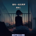 酷瑞儿 - 曾有一场另类梦