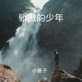 骄傲的少年