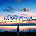 Dex Wilson、Pete O'Deep - Too Many Chances (extendedmix)