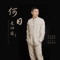 王琪 - 何日是归途