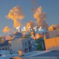 沈若 - 可遇不可求 (伴奏)