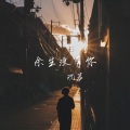 沈若 - 余生没有你