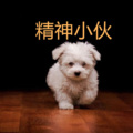 清风 - 就像是一块没有记忆的石头