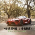 阳仔 - 裂缝中的阳光 (清新版)