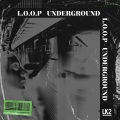 Wagner dos Santos Stelzner、Loop - My Btch