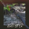 Hello Dragon - Rats Of L.a.