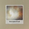 Tim Brown - Determined Soul