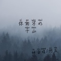 林金煌、何友 - 等吧 (DJ版)