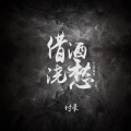 付豪 - 借酒浇愁
