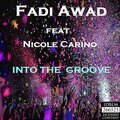 Fadi Awad - Into The Groove (MelodicMix)