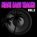 Raw Underground、Miami Bass Tracks - The Quiet Storm (Explicit)
