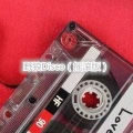 野狼Disco