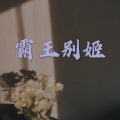 柒琪 - 静悄悄