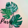 Sheriff Mcgee、Tony Hanson - Paris
