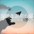 没能走进你心里