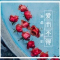 东辰 - 爱而不得