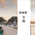 阳雨乔 - 酒吧专属舞曲
