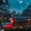 心理情绪睡眠管理师 - 此情可待成追忆，只是当时已惘然。