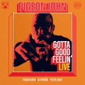 Pigeon John - Gotta Good Feelin' (Live)