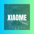 宣丰 - 结伴