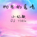 小奶瓶、DJ YiXiu - 姐不保证你扛得住