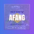仰涵涵 - 阿房宫赋 (Remix)