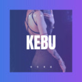 虞雁 - 赌徒 (Remix)