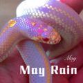 May Rain (Remix)