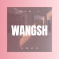 褚枫 - 世界这么大还是遇见你 (DJ版)