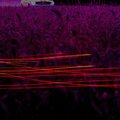 Knockin Beats、Zambian Sounds、Ashley Stevens、Chill Mixer - Antique For Science