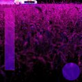 Knockin Beats、Zambian Sounds、Ashley Stevens、Chill Mixer - Turtle Landscape