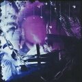 ssgkobe - See Me