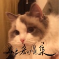 子盈 - 古龙群侠传 (少御女版)