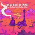 Dream About Me (Remix)