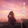 浪子肖辰、DJ凌轩 - 万里桃花