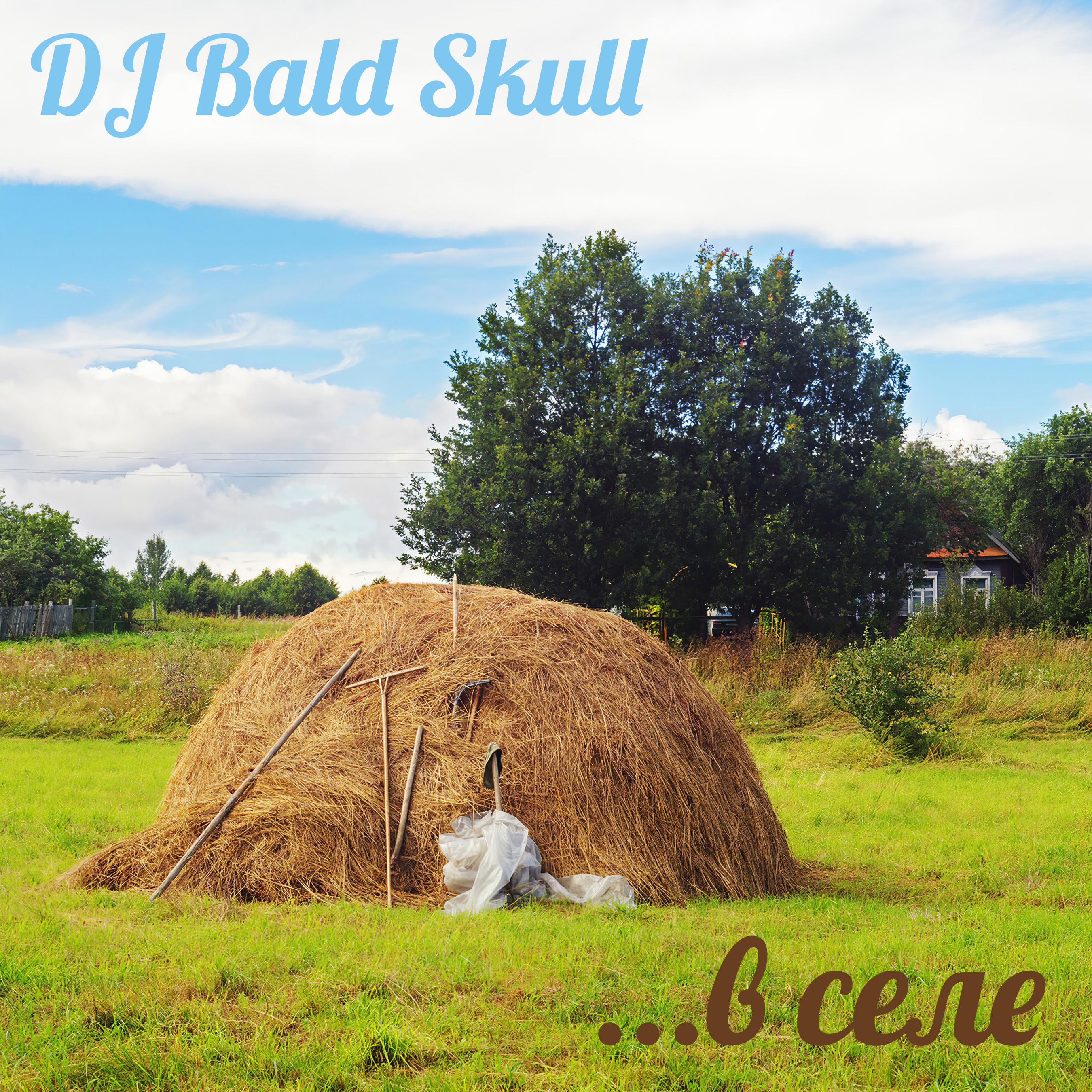 DJ Bald Skull - В селе