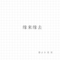 DJ小星星 - 缘来缘去